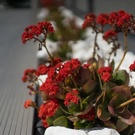 Azzurro Bianco Suites